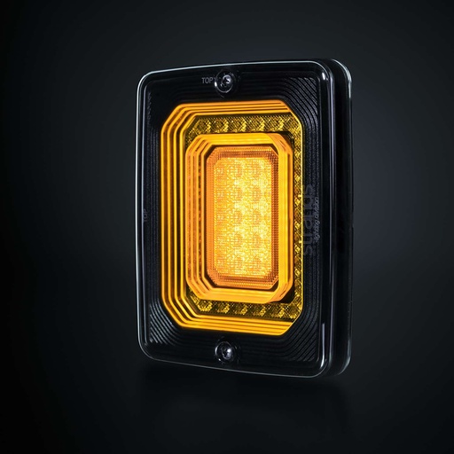 [2607800657] FOR9T ILLUSION Indicator Light