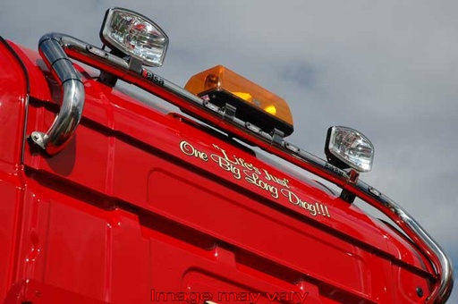 Stainless Steel BakBar for Scania 4 & R Series Highline