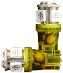 [26075SMD32VO] Set (2) wedge LED met 5 SMD leds oranje